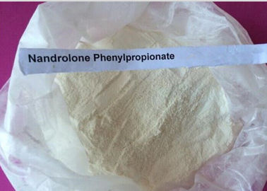 Durabolinの白い粉のNandroloneのステロイド/Nandrolone Phenylpropionate CAS 62-90-8