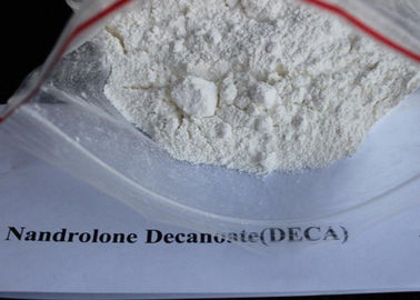 白い粉CAS 7207-92-3 Deca Durabolinのステロイド、承認されるNandroloneのDecanoateの粉SGS