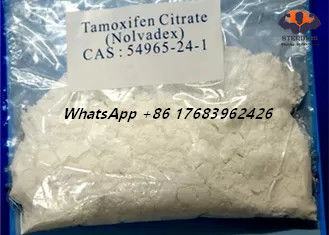 CAS 54965-24-1 NolvadexのTamoxifenのクエン酸塩のエストロゲンのブロッカー ステロイドの白い結晶の粉